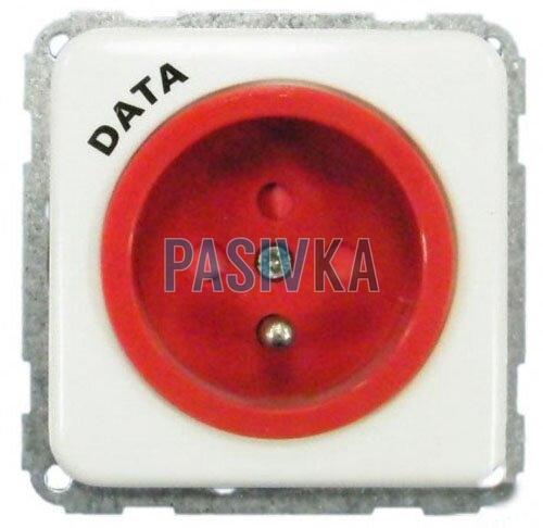 Розетка з центральним контактом заземлення DATA з ключем біла Hager Regina 13001702, фото 1