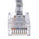 Проходной коннектор RJ-45 8P8C UTP cat.5e упаковка 100 шт Kingda KD-PG8032-C5E, фото 7